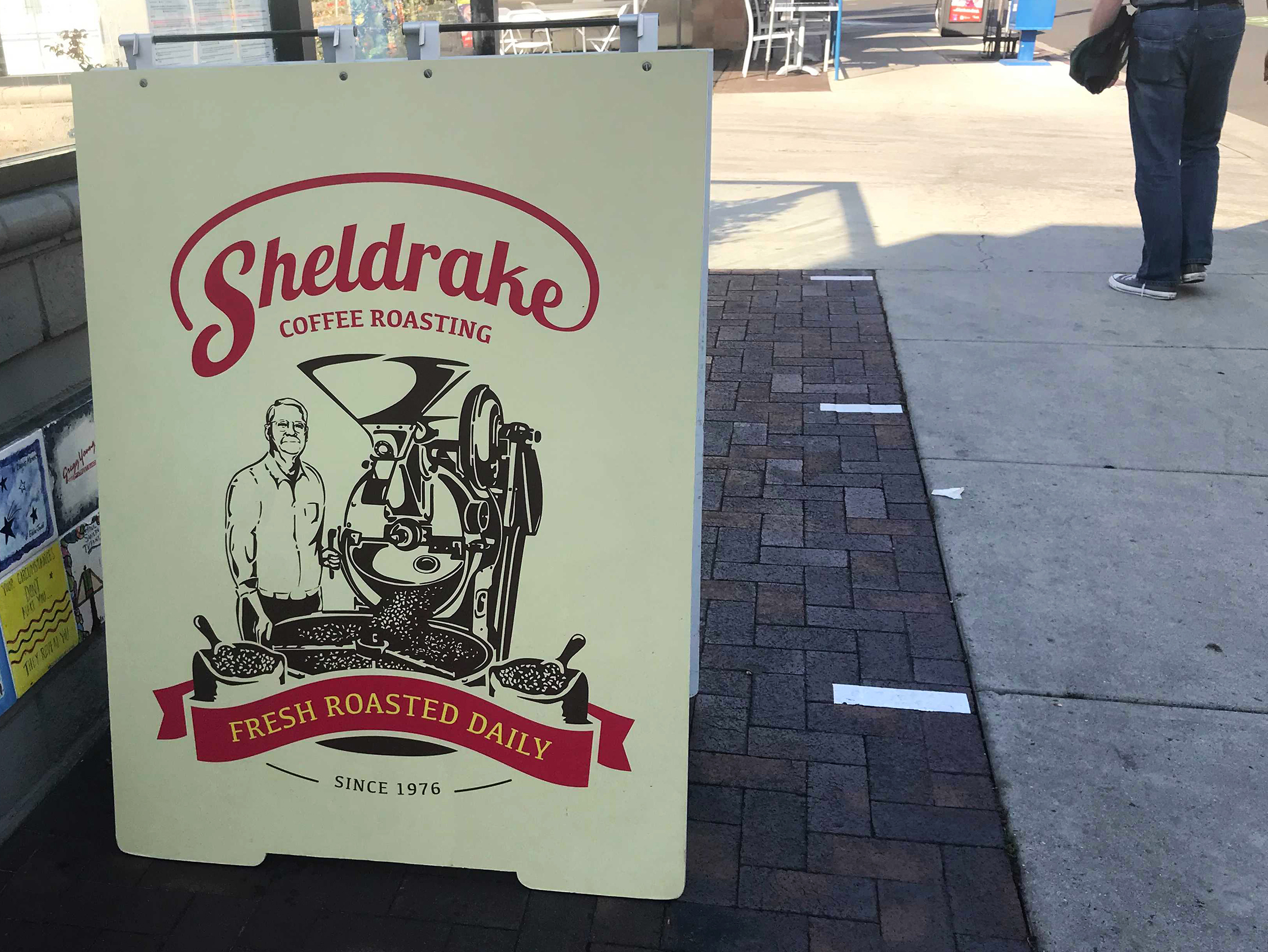 Toddy Maker – Sheldrake Coffee Roasting